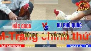 Trận 13 TonHon 7/1/2026 - Anh Hắc CoCa Phục Thù Anh Ku PQ Thành Công