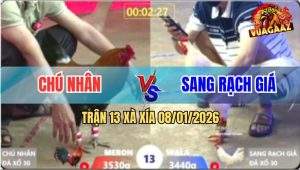 Trận 13 Xà Xía 8/1/2026 - Gà Điều Chú Nhân Có Chân Phản Đưa Biện Đi Xa