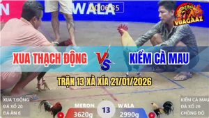 Trận 13 Xà Xía 21/1/2026 - Úa Hiệu Anh Kiểm Kém 6 Chấm Lên 2 Nhẹ Nhàng
