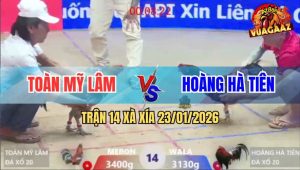 Trận 14 Xà Xía 23/1/2026 - Xám Đâm Điều Ngay Đùi Té Nằm Chờ Chết