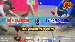 Trận 14 Xà Xía 25/1/2026 - Bướm Anh Kiểm Đá Như Máy, Điều Phê Cựa Chạy