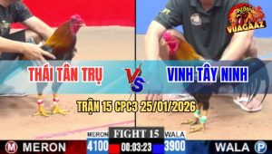 Trận 15 CPC3 25/1/2026 - Hai Con Đâm Quá Ác, Đỏ Thấm Tang Chạy Trước