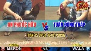Trận 15 CPC4 16/1/2026 - Điều Có Chân Xạo Lờ Đá Xám Té Xe, Chạy Sảng