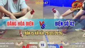 Trận 15 Xà Xía 29/1/2026 - Úa Xanh Đâm Lọt Cây Nách Đỏ Ra Máu Lỏng