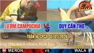 Trận 16 CPC4 5/1/2026 - Điều Anh Lượm May Mắn Chuyển Bại Thành Thắng