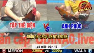 Trận 16 CPC5 28/1/2026 - Tập Thể Biện Gặp Anh Phúc