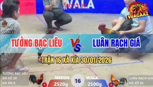 Trận 16 Xà Xía 30/1/2026 - Que Đâm Cây Lưng Điều Anh Kiểm Ho Máu Bầm