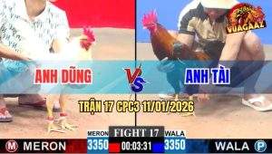 Trận 17 CPC3 11/1/2026 - Úa Anh Dũng Có Chân Xạo Lờ Đá Bông Chết Tươi