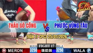 Trận 17 CPC3 25/1/2026 - Chú Tuấn Điện Đụng Độ Với Anh Phước Vũng Tàu