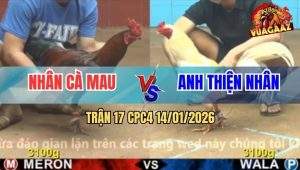 Trận 17 CPC4 14/1/2026 - Úa Chạy Xe, Điều Chụp 1 Phát Mất Luôn Con SH