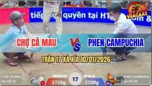 Trận 17 Xà Xía 10/1/2026 - Bướm Đá Hồi Mã Thương Đưa Điều Đi bán Muối