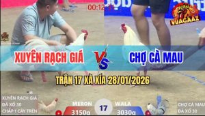 Trận 17 Xà Xía 28/1/2026 - Bướm Đâm Úa Mẽ Hiệu Bay Màu Trong Nốt Nhạc