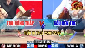 Trận 18 CPC3 25/1/2026 - Xám Anh Ton Đá Điều Anh Gấu Dỡ Chân Không Nổi