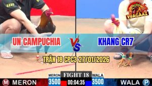 Trận 18 CPC3 27/1/2026 - Gà Bướm Anh Khang Gồng Nước Khuya Quá Lực