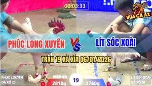 Trận 19 Xà Xía 6/1/2026 - Bướm Anh Lít Đá Đúng 1 Phát, Bướm Đỏ Lìa Đời