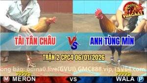 Trận 2 CPC4 6/1/2026 - Điều Cọp Anh Tùng Đâm Vàng Tàu Chạy La Làng