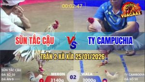 Trận 2 Xà Xía 25/1/2026 - Bướm Xanh Gôm Phiếu, Buông Tay Đỏ Đá Bay Bồ