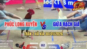 Trận 2 Xà Xía 30/1/2026 - Điều Lá Sang Ghè Đạp Mái Chọc Quê Anh Kiểm