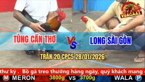 Trận 20 CPC5 28/1/2026 - Bướm Anh Long Bú Cây Lưng Điều Ho Ra Máu Bầm