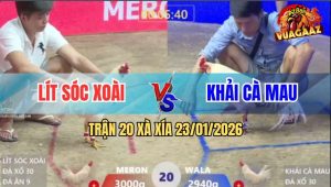 Trận 20 Xà Xía 23/1/2026 - Đỏ Bao Bồ Bị Xanh Đâm Tới Tấp La Miệng Chạy