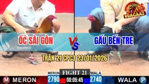 Trận 21 CPC3 23/1/2026 - Hai Con Cùng Ói, Vàng May Mắn Gồng Vừa Đủ Ăn