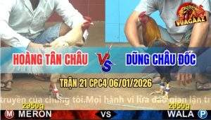 Trận 21 CPC4 6/1/2026 - Gà Điều Anh Dũng Chưa Thả Dí Ăn 4 Và Cái Kết