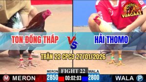 Trận 22 CPC3 27/1/2026 - Gà Bướm Đâm Điều Anh Ton Gục Trên Vũng Máu