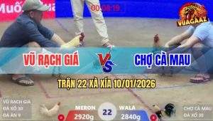 Trận 22 Xà Xía 10/1/2026 - Chuối Vàng Đâm Tới Đâu Bướm Ói Tiền Tới Đó