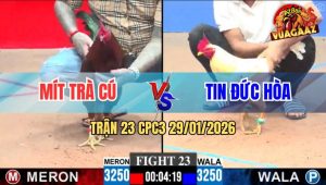 Trận 23 CPC3 29/1/2026 - Điều Cọp Anh Mít Trà Cú Đụng Bướm Sát Thủ