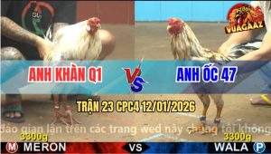 Trận 23 CPC4 12/1/2025 - Bướm Hiệu Anh Khàn Nắm Đầu Bông Nện Bể Hộp Số