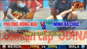Trận 23 CPC5 9/1/2026 - Gà Điều Anh Minh Bẻ Trụ Gà Khét Sau 1 Lần Nạp