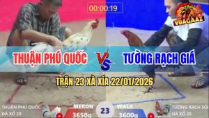 Trận 23 Xà Xía 22/1/2026 - Điều Đá Quá Hay, Bướm Chạy Mất Phương Hướng