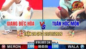 Trận 24 CPC3 23/1/2026 - Điều Chịu Đòn Nhẫn Nhục, Tiễn Úa Lên Đường