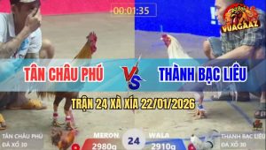 Trận 24 Xà Xía 22/1/2026 - Khét Vả Cú Nào Chất Cú Nấy, Bướm Ói Đen Đầu