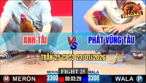 Trận 25 CPC3 23/1/2026 - Gà Xám Anh Phát Có Chân May Độ Lụm Cái Xổ 100