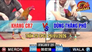 Trận 25 CPC3 29/1/2026 - Điều Anh Khang Có Chân Phản Xám Ói Hết Cứu
