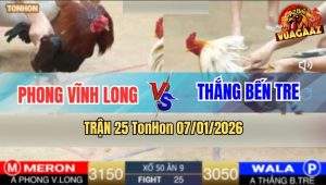 Trận 25 TonHon 7/1/2026 - Khét Cọp Anh Thắng Bến Tre Đá Điều Phá Đôi