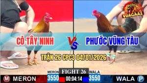 Trận 26 CPC3 4/1/2026 - Que Anh Phước Đâm Quá Cay, Gà Đỏ Xin Thua Non