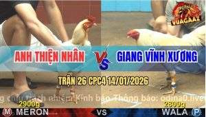 Trận 26 CPC4 14/1/2026 - Bướm Xanh Đá Bướm Râu Lê Lết Đập Cánh Cầu Cứu