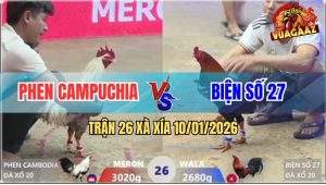 Trận 26 Xà Xía 10/1/2026 - Điều Chấp Sâu Bị Chuối Trắng Đá Bể Đầu