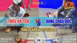 Trận 26 Xà Xía 22/1/2026 - Điều Anh Triều Rượt Bướm Chạy Như Ma Đuổi