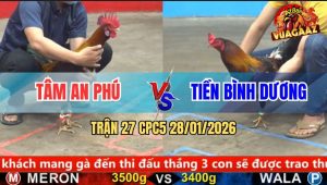 Trận 27 CPC5 28/1/2026 - Que Lá Đá Như Sam Sít, Về Bờ Không Vết Trầy