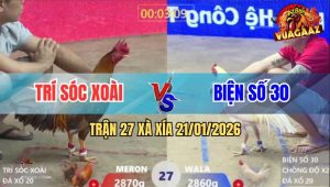 Trận 27 Xà Xía 21/1/2026 - Úa Chồng Độ Đâm Gà Khét Bể Mu Lưng