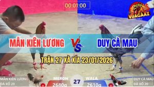 Trận 27 Xà Xía 23/1/2026 - Cú Bao Bồ Đâm Điều Bông Ngóc Đầu Không Nổi