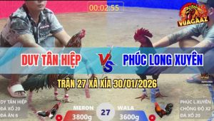 Trận 27 Xà Xía 30/1/2026 - Điều Lá Anh Phúc Lên 2 Đá Điều Bồng Bỏ Chạy