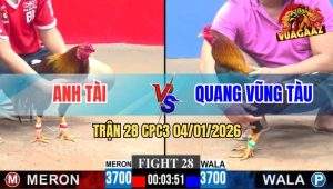 Trận 28 CPC3 4/1/2026 - Điều Cọp Anh Tài Hạ Xanh Không Kịp Nhấc Chân