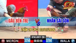 Trận 28 CPC3 23/1/2026 - Que Lì Đòn, Khét Anh Gấu Đâm Mỏi Chân Tự Gục