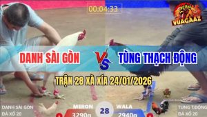 Trận 28 Xà Xía 24/1/2026 - Điều Đâm Như Cái Máy, Úa Không Kịp Gỡ Cựa