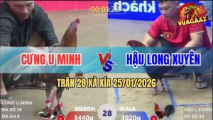 Trận 28 Xà Xía 25/1/2026 - Que Đá 1 Phát Điều Bông Lía Giò La Như Ngóe