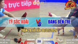 Trận 28 Xà Xía 30/1/2026 - Điều Đá Tới Tấp, Úa Hết Phản Nằm Chờ Chết